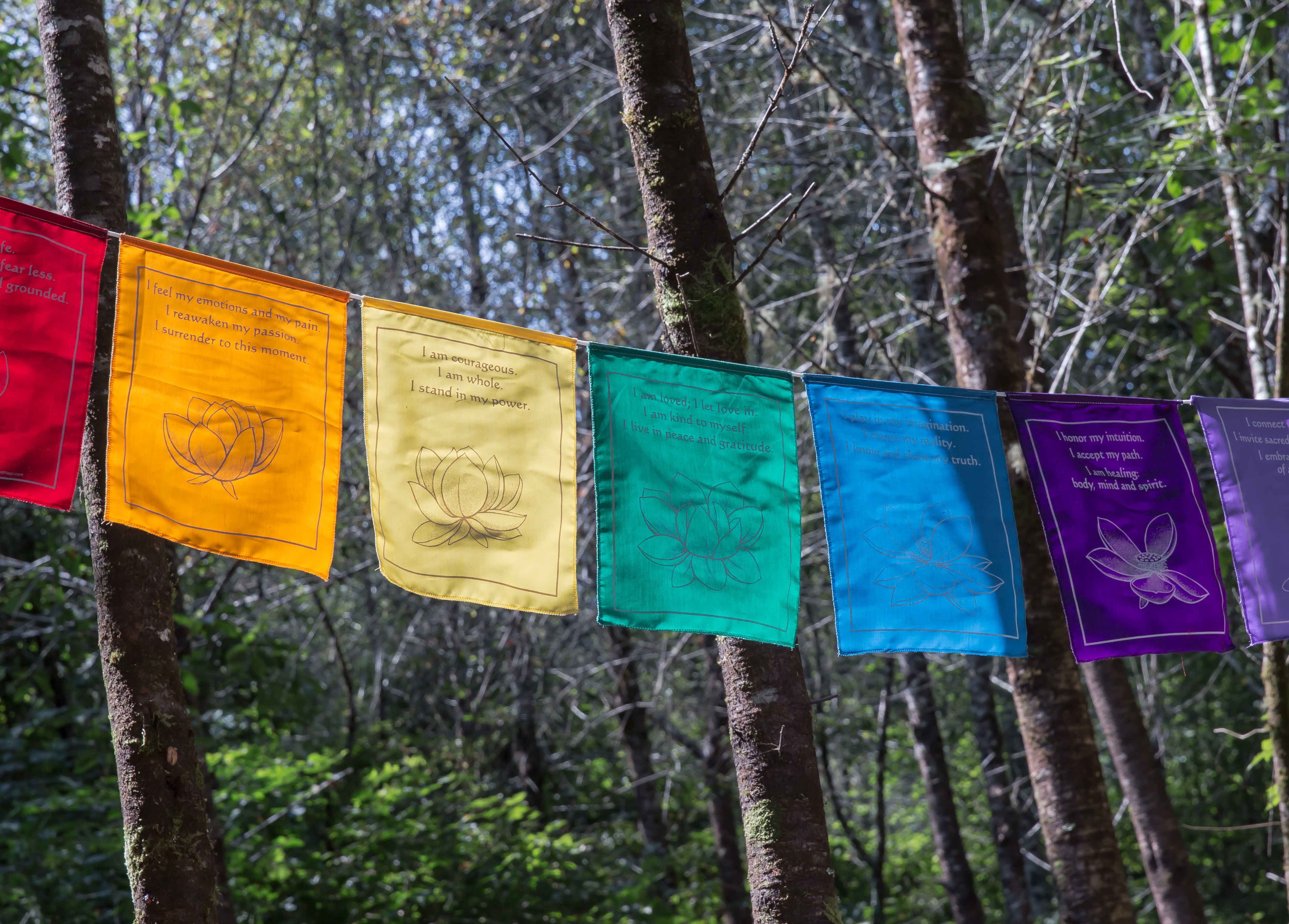 Kit chakra ambiance sensorielle avec drapeau colorés – idée cadeau bien-être pour harmoniser les chakras à travers les couleurs et les vibrations.