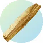 Bâton de Palo Santo bois sacré de 10 à 12 cm pour rituel de purification énergétique