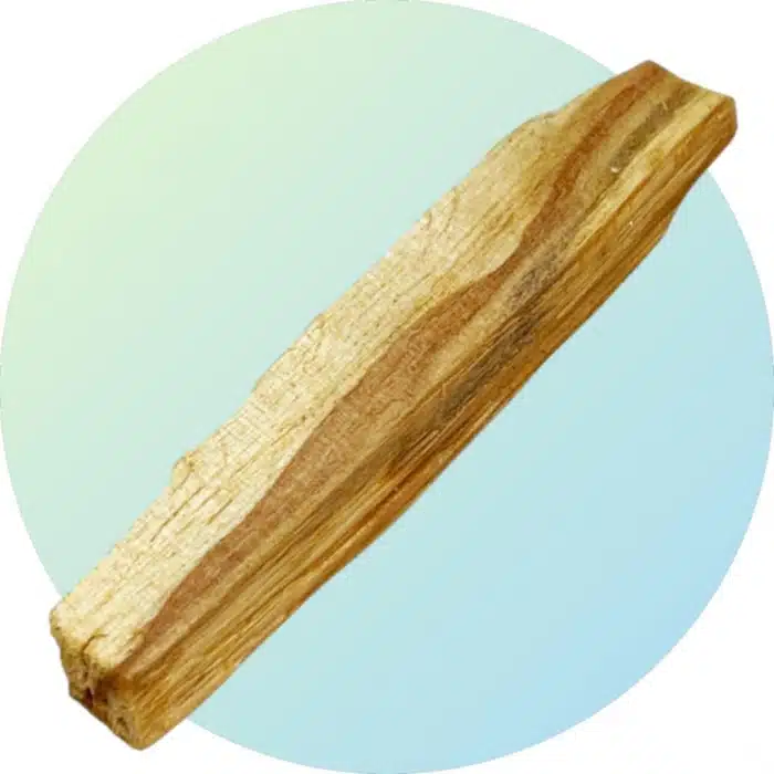 Bâton de Palo Santo bois sacré de 10 à 12 cm pour rituel de purification énergétique