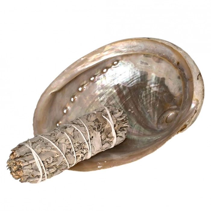 Coquille d’ormeaux et bâton de sauge blanche – rituel purification chakra Manipura.